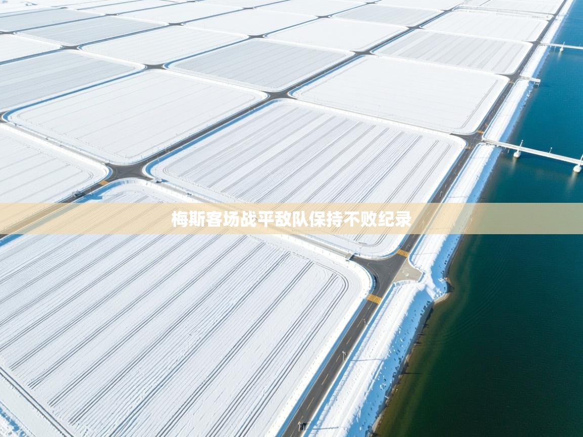 梅斯客场战平敌队保持不败纪录  第2张