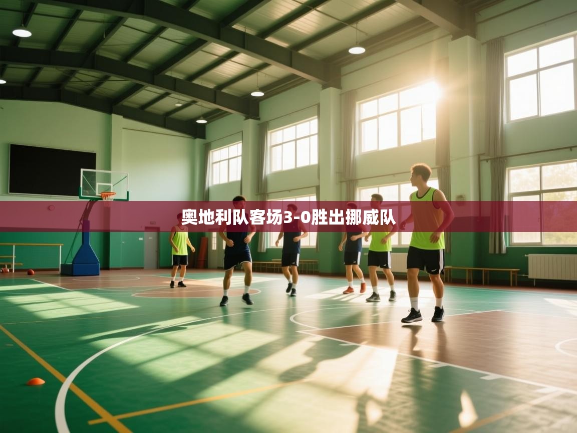 奥地利队客场3-0胜出挪威队  第1张