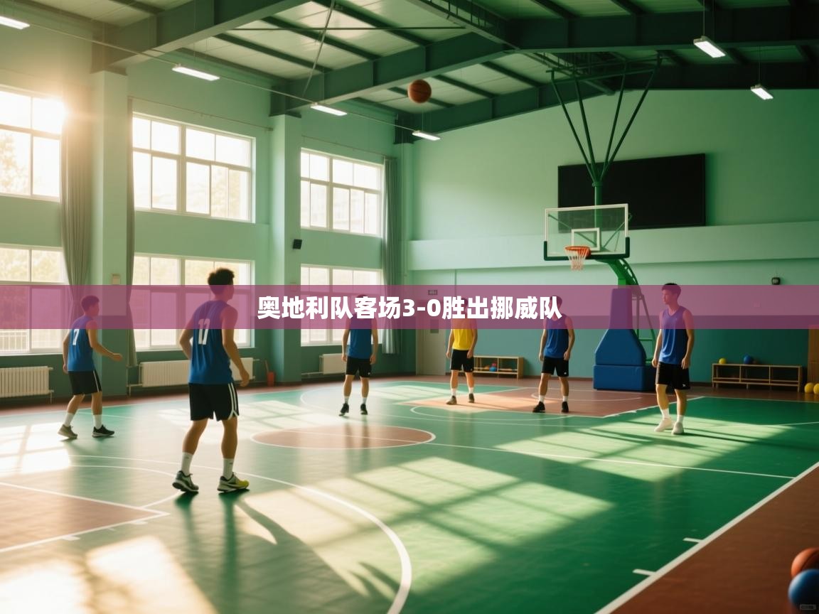 奥地利队客场3-0胜出挪威队  第2张