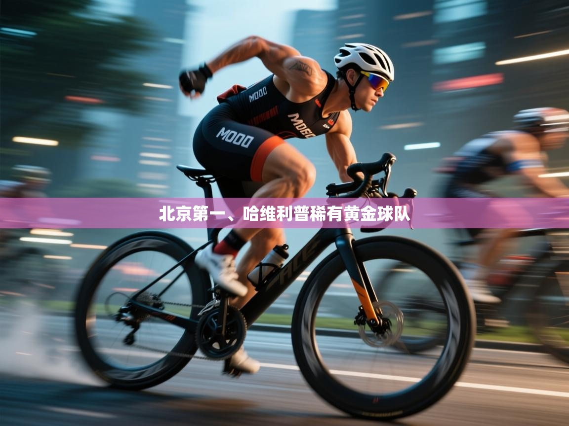 北京第一、哈维利普稀有黄金球队