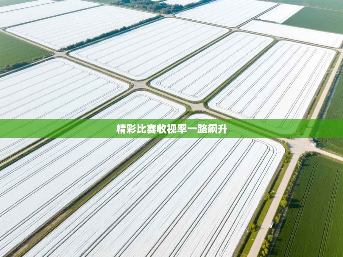 精彩比赛收视率一路飙升